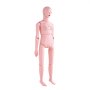 VEVOR Female Nursing Training Mannequin Multifunctional Patient Care Simulator 1530 x 450 x 210 mm, Multifunctional Training Nursing Training Mannequin Uniform Scale Shapes Training Mannequin