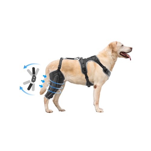 VEVOR Rodillera para Perros con Ligamento Cruzado Anterior Desgarrado, Soporte para Patas de Perro con Estabilizador de Bisagra Ajustable, para Pata Trasera Derecha de Perros, Talla M, Negro