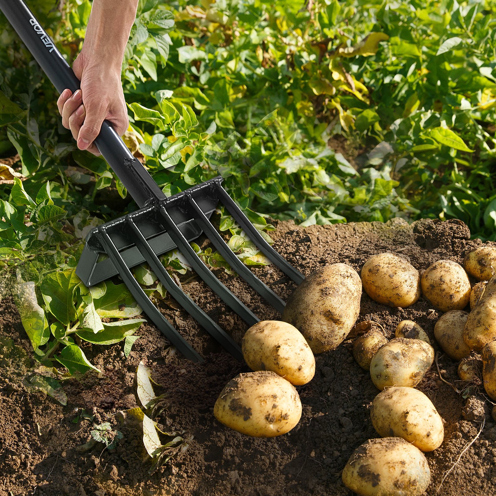 VEVOR manure fork, 5-tine garden hay fork with pitchfork, 1050 mm hay fork, manure fork with Y-handle, spade fork made of forged steel for hay, potato composting, transplanting, aeration