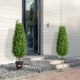 VEVOR - Árbol topiario artificial de boj, 36 pulgadas de alto (2 piezas), árboles topiarios de imitación, planta verde artificial con hojas adicionales, maceta y pequeña decoración, juego de vegetación con clasificación UV para decoración del hogar en interiores y exteriores