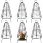 Juego de seis campanas de alambre de gallinero VEVOR, una de ellas para proteger las flores rosas florecientes.