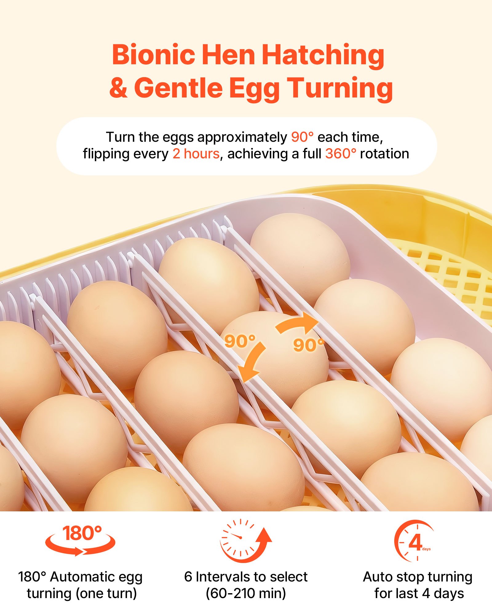 VEVOR Incubadora de 24 Huevos de Gallina, Volteadora Automática con Luz LED, Control de Temperatura, Muestra de Humedad, Ventana Transparente con Vista 360°, Recarga Automática de Agua, 435x260x215 mm