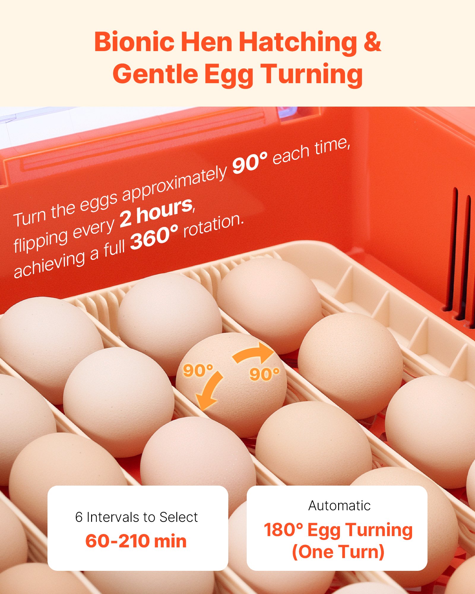 VEVOR Incubadora de 36 Huevos, Volteadora Automática con Indicador LED y Bandeja de Agua, Control de Temperatura y Humedad, Ventana Transparente 360°, para Pollitos, Patos, Gansos y Codornices
