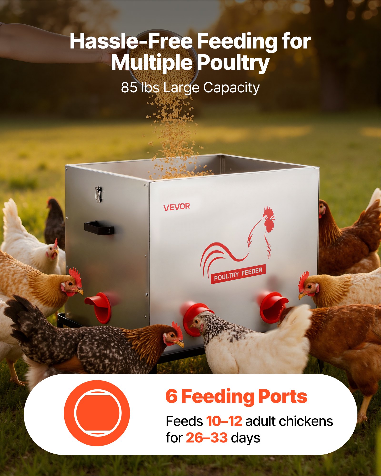 VEVOR Comedero Automático Metálico, Carga de 38,56 kg, 6 Puertos de Alimentación, sin Desperdicio, con Divisor Incorporado, Pestillo y Asa, para Pollos, Gallinas Enanas, Faisanes y Gallineros
