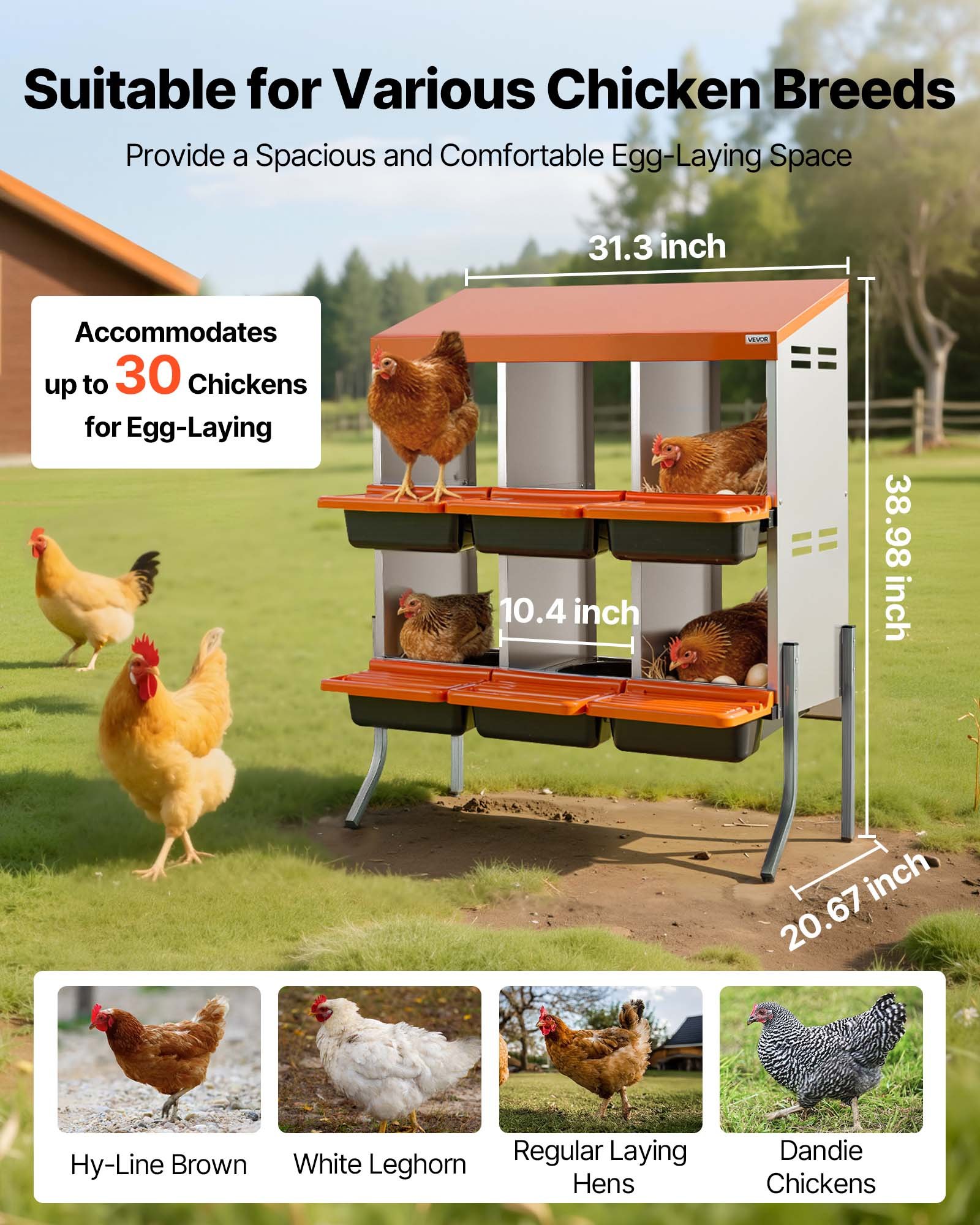 VEVOR Nidos para Gallinas, 6 Compartimentos, con Patas de Soporte, Fácil Recogida de Huevos, Acero Galvanizado y Plástico de Alta Resistencia, para Gallinas Ponedoras, Naranja, 795 x 525 x 990 mm