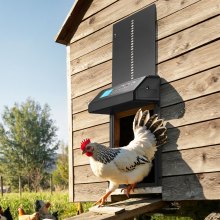 VEVOR Puerta Gallinero Automática con Pantalla, Puerta Automática Gallinero con Función Manual y Temporizador, Aleación de Aluminio, Anti-pinzamiento, Alimentada por Batería, para Gallinas, Negro