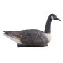VEVOR Señuelos de Ganso Canadiense a Caza de Aves Acuáticas al Aire Libre, Flotadores de Plástico Duraderos con Pintura Ultra Realista, para Piscinas, Estanques, Lagos, 6 uds, 570 x 200 x 330 mm