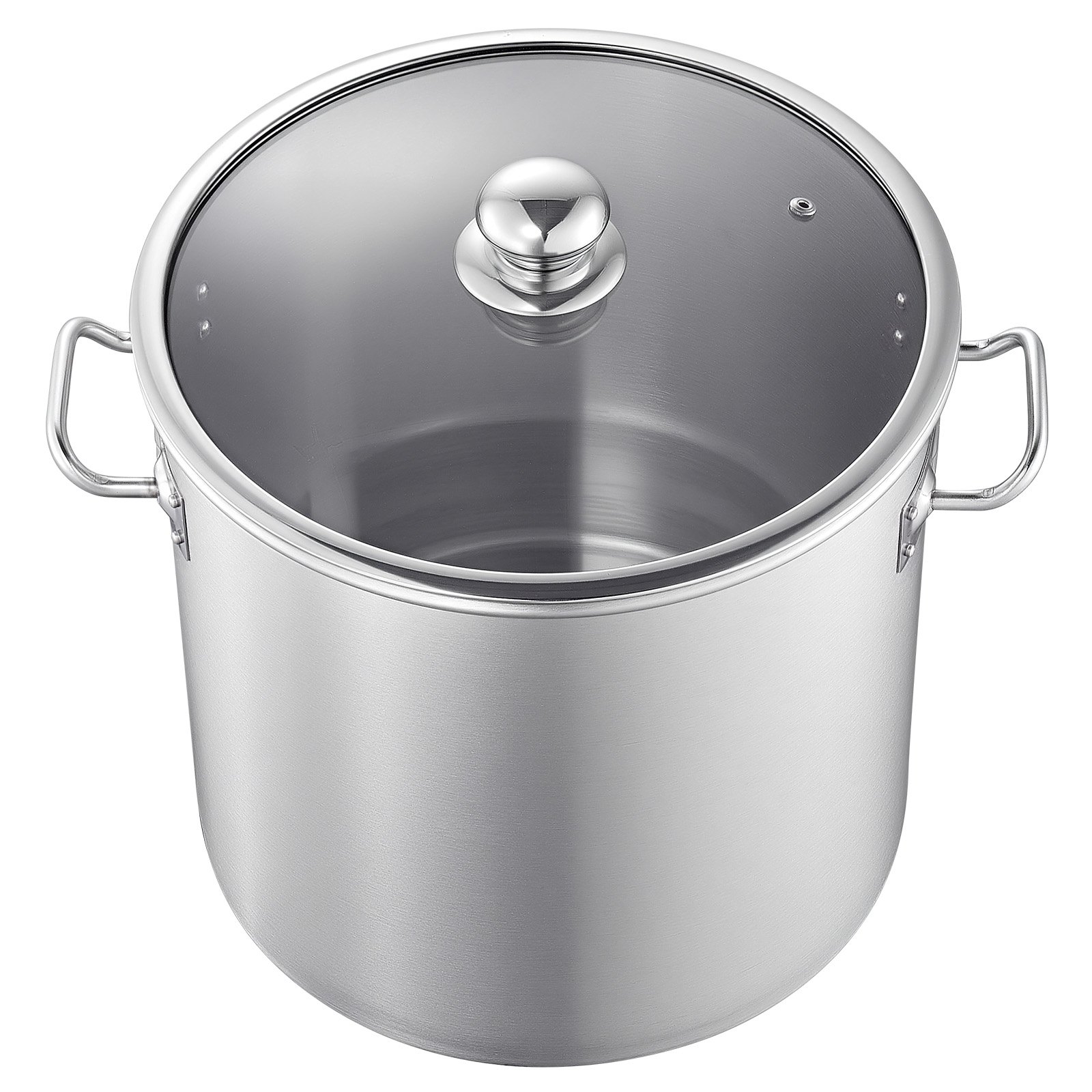 VEVOR Olla de Acero Inoxidable Capacidad de 19,9 L, Olla con Tapa de Vidrio y Asas Diametro Interno de 30 cm, Ligero para Transportar, Base de 3 Capas, Grande y Resistente, Ideal para Sopas, Guisos