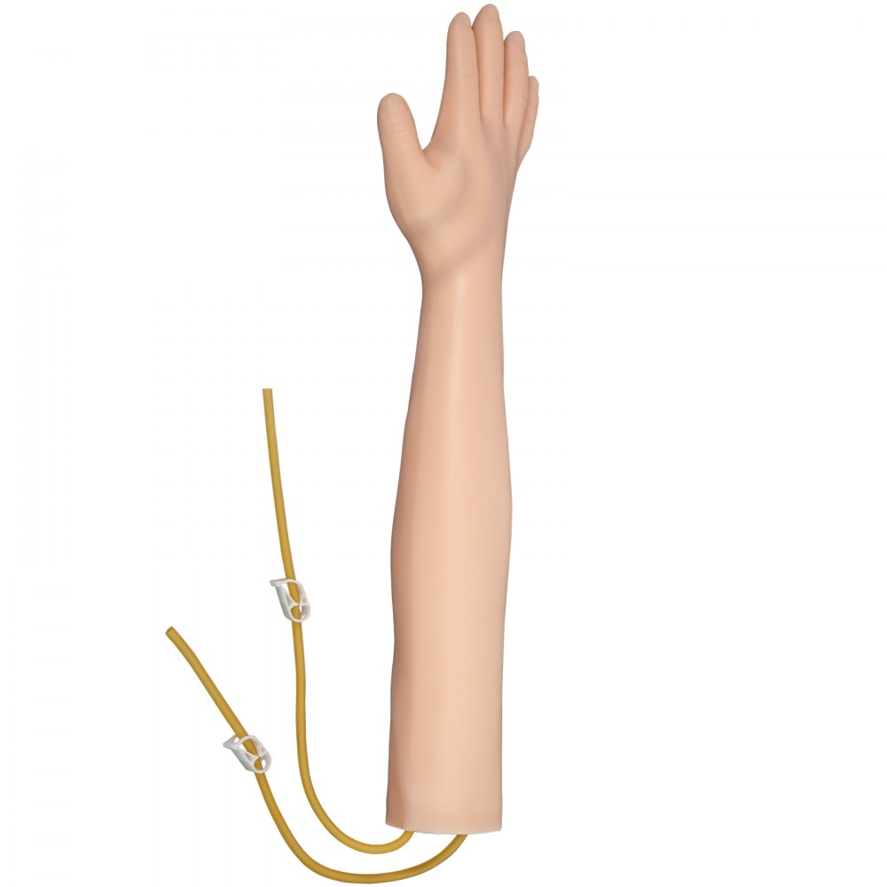 VEVOR Kit IV Modelo Educativa de Práctica de Brazo, Flebotomía Venipunción, Práctica de Inyección, Práctica Médica Educativa y Modelo de Enseñanza, para Enfermeras y Aprendices Médico