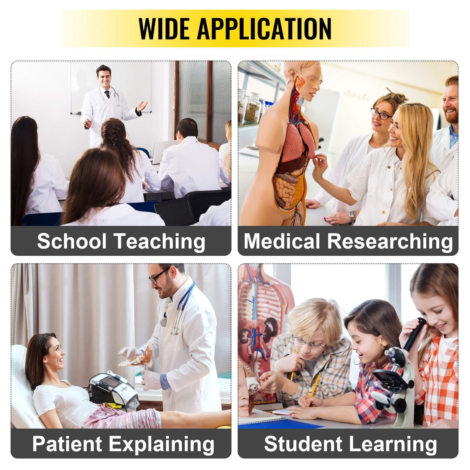 VEVOR Figura Muscular Humana 27 Partes Modelo de Anatomía Muscular 1/2 Modelo de Tamaño Natural