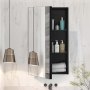 VEVOR Botiquín con Espejo para Baño con Puerta de Espejo y Estantes de Vidrio Ajustables, Instalación Empotrada y Montada en Pared, Aluminio, Organizador de Almacenamiento, 355 x 135 x 610 mm
