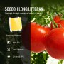 VEVOR Planta de Crecimiento de Lámpara LED 150 W Quantum Panel de Espectro Completo de Alto Rendimiento a Prueba de Agua IP65 PPFD Samsung 281B Diodos para Interior Crecer Carpas Verduras Plantas Flor