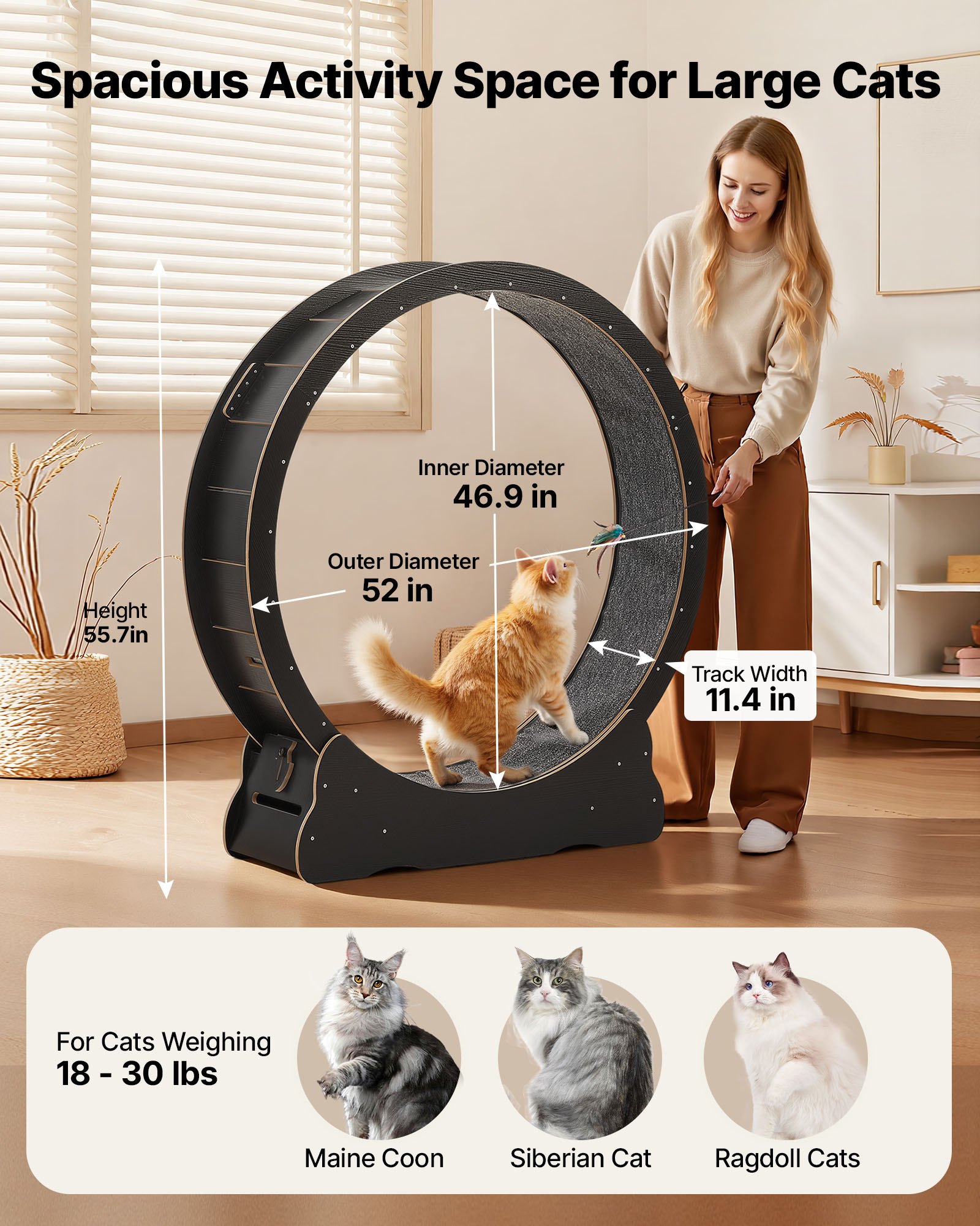 VEVOR Rueda de Ejercicio de Madera, para Gatos de hasta 13,6 kg, Diámetro Interior de 118 cm, Cinta de Correr con Superficie Alfombrada y Mecanismo de Bloqueo, Color Negro, 1320 x 338 x 1415 mm