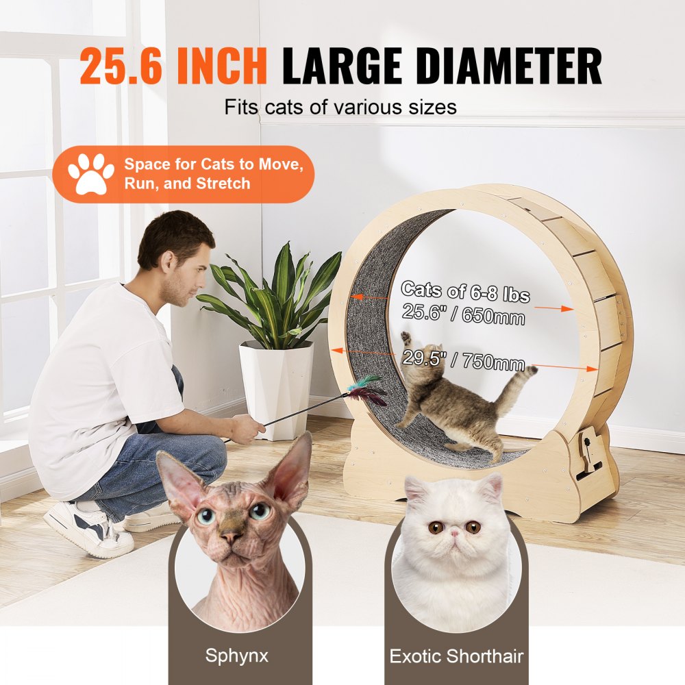 VEVOR Rueda de Ejercicio de Madera para Gatos de Interior de 75 x 31,8 x 80 cm, Rueda para Correr con Alfombra Desmontable, Juguete para Correr, Caminar, Entrenar para Diferentes Gatos, Color Madera