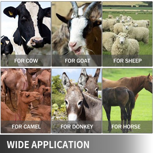 Máquina De Ordeño Ordeñador Vacas Ovejas Acero Inoxidable Eléctrica Granja 304