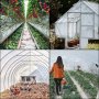 VEVOR Película de Polietileno para Invernadero, Dimensión de 4,9 x 7,6 m Invernadero Plástico Transparente, Espesor de 0,15 mm Paño Anticongelante para Plantas, Fácil de Bricolaje para Agricultura