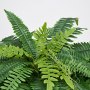 VEVOR Helechos Artificiales Paquete de 2, Helechos de Boston Artificiales Diámetro de 1143 mm con 63 Frondas Hojas de Seda y LDPE para Maceta Decoración Jardín Balcón Porche Hogar Interior y Exterior