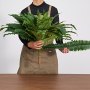 VEVOR Artificial Ferns, 1219 mm Fake Boston Fern Bush Plant with 67 Fronds, Faux Greenery for Indoor/Outdoor Decor, Silk & LDPE, Suitable for Home Porch Garden Office Living Room Planter, Set of 2