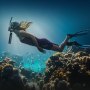 VEVOR Tanque de Buceo Portátil 0,5 L, Cilindro de Oxígeno que Permite Respirar Bajo el Agua 5 a 10 Minutos, Profundidad 10 m, con Máscara de Snorkel para Exploración Subacuática, 73 x 365 mm