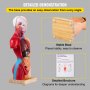 Modelo de anatomía humana VEVOR con base estable y folleto detallado para una fácil observación y comprensión.
