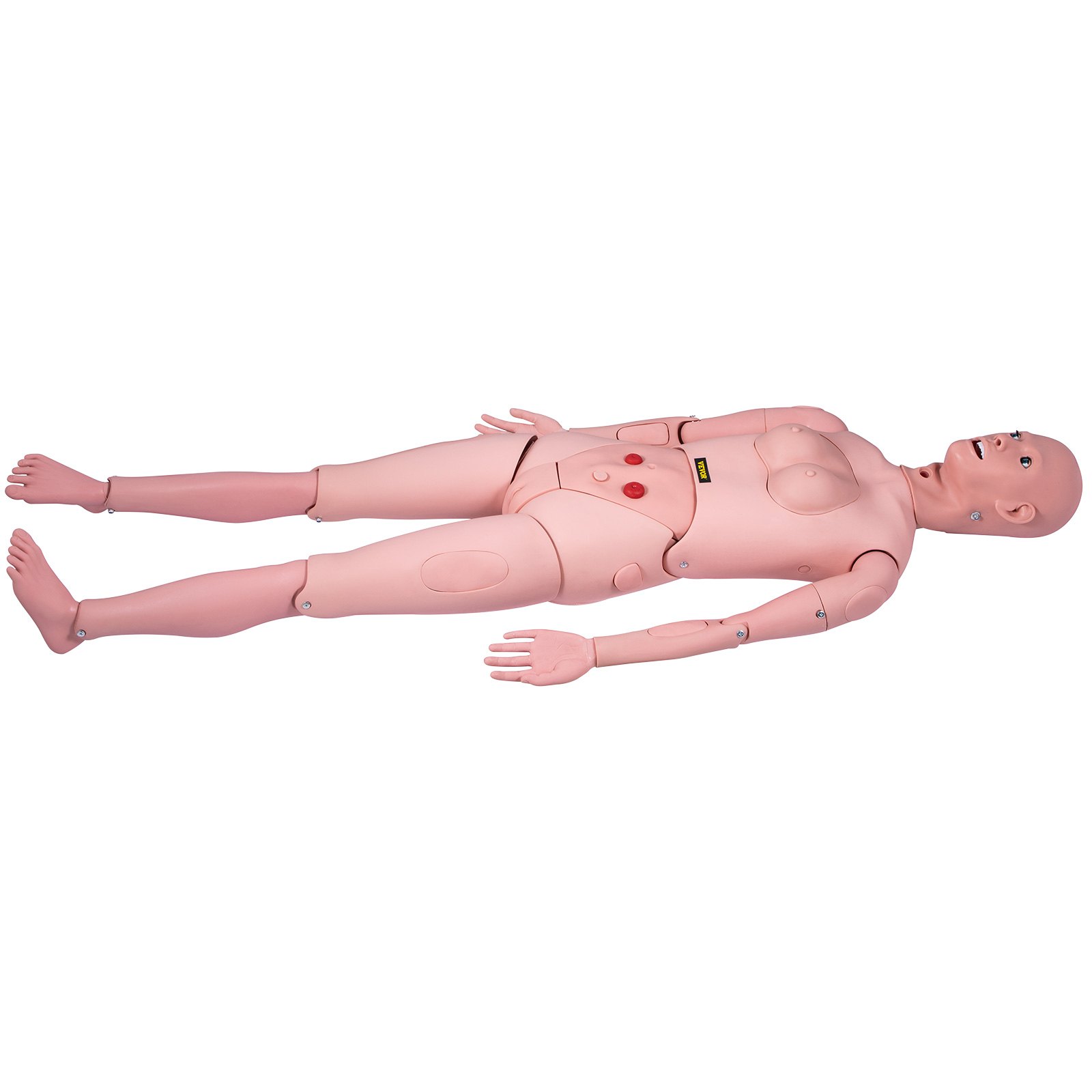 Maniquí de enfermería VEVOR para formación médica con características anatómicas y movilidad articular.