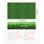 VEVOR Césped Artificial 365,76 x 213,36 cm, Rollo Césped Sintético de PP con Altura de 1,5 cm, Orificios de Drenaje, Alfombra de Aspecto Natural para Exterior Interior Terraza Patio Jardín Balcón
