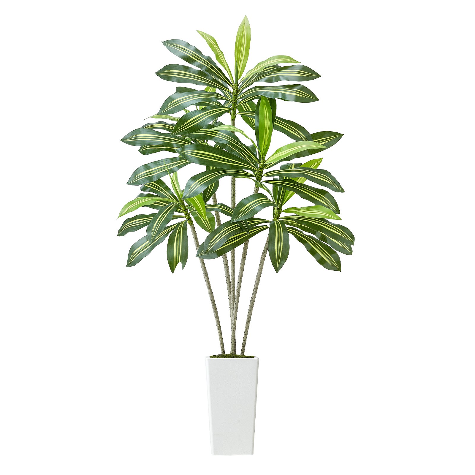 VEVOR Dracaena Artificial, Palmera Tropical Artificial con Macetero Alto Blanco, para Decoración del Hogar, Sala de Estar, Inauguración de la Casa, 1 Planta con 5 Tallos, 800 x 800 x 1824 mm