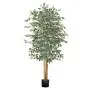 Árbol Baniano