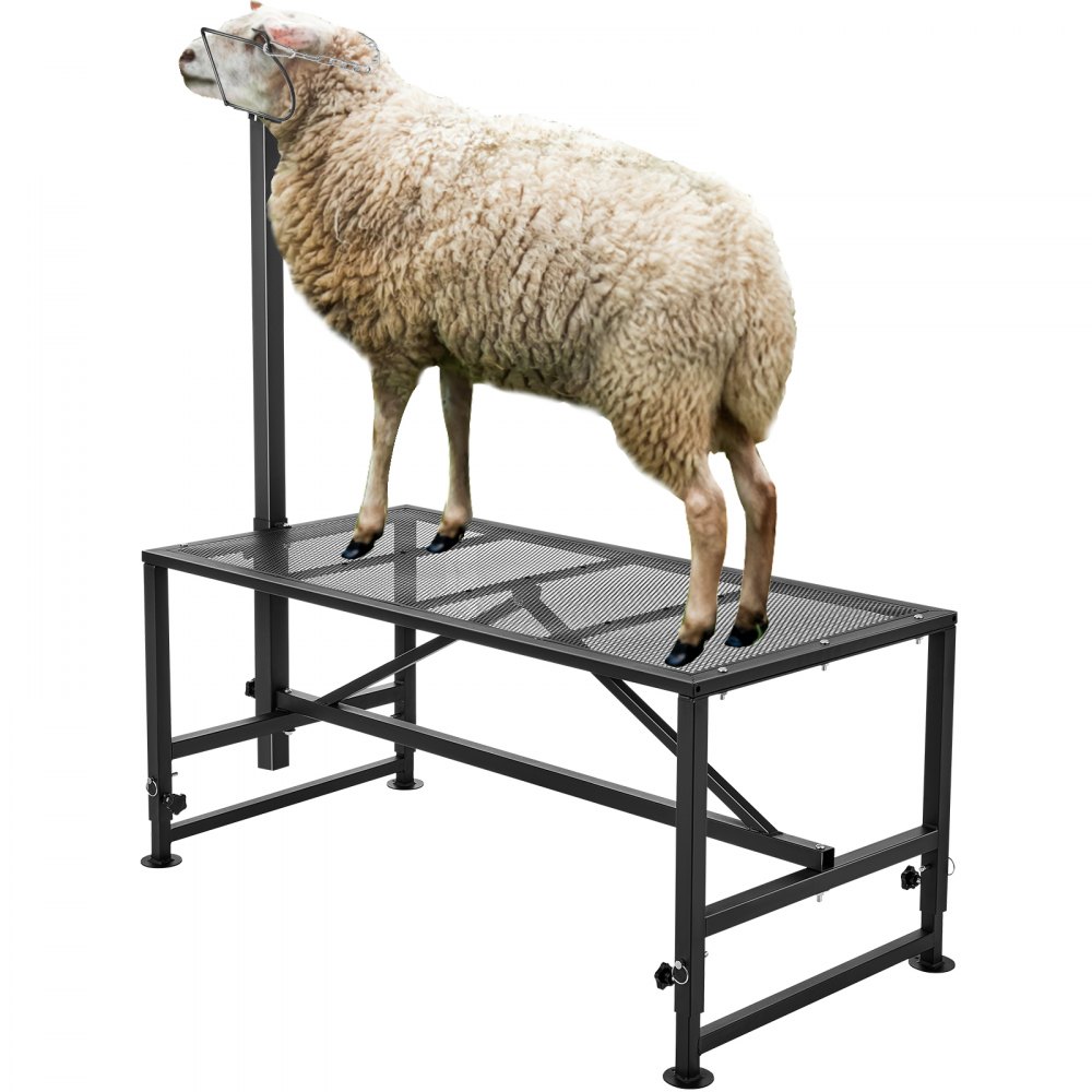 Ovejas en soporte para cabras y ovejas VEVOR con estructura de metal resistente para su cuidado y mantenimiento.