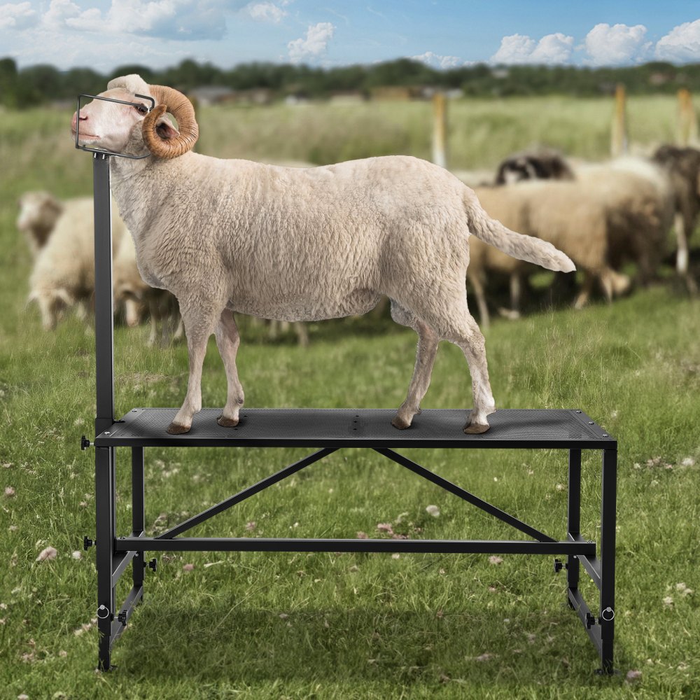 VEVOR Soporte para cabras y ovejas, soporte para ganado de 51 x 23 pulgadas, soporte de metal para ordeño y esquila de ganado, altura ajustable de 21 a 33 pulgadas, con tocado y bucle para la nariz, peso de carga de 500 libras, negro