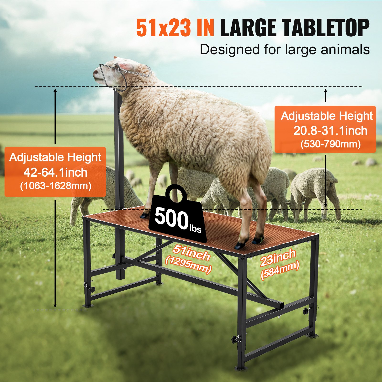 VEVOR Soporte para cabras y ovejas, soporte para ganado de 51 x 23 pulgadas, soporte de metal para ordeño y esquila de ganado, altura ajustable de 21 a 33 pulgadas, con tocado y bucle para la nariz, peso de carga de 500 libras, negro