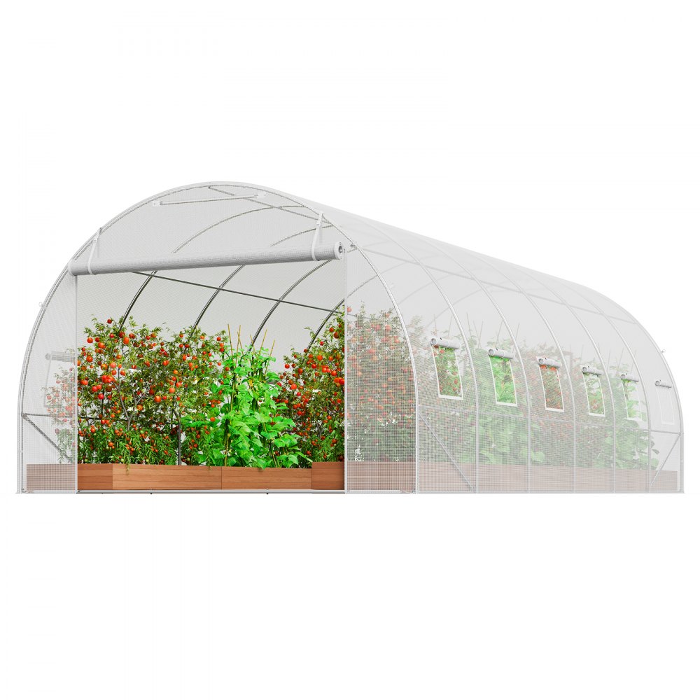 VEVOR Invernadero Túnel 590x295x198 cm Carpa Refugio para Plantas Estructura de Acero Galvanizado Cubierta de PE Puerta Enrollable con Cremallera 12 Ventanas para Cultivo de Verduras Flores, Blanco