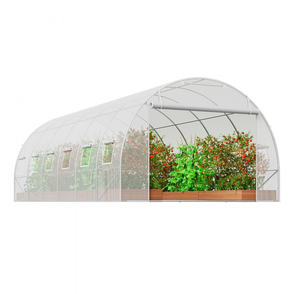 VEVOR Invernadero Túnel 590x295x198 cm Carpa Refugio para Plantas Estructura de Acero Galvanizado Cubierta de PE Puerta Enrollable con Cremallera 12 Ventanas para Cultivo de Verduras Flores, Blanco
