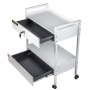 VEVOR Carro de laboratorio de 2 niveles carro médico de acero inoxidable Carga de 100 kg carro de servicio con ruedas giratorias de 360° para laboratorio, salón de belleza, hospital, uso dental