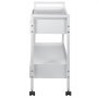 VEVOR Carro de laboratorio de 2 niveles carro médico de acero inoxidable Carga de 100 kg carro de servicio con ruedas giratorias de 360° para laboratorio, salón de belleza, hospital, uso dental