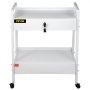 VEVOR Carro de laboratorio de 2 niveles carro médico de acero inoxidable Carga de 100 kg carro de servicio con ruedas giratorias de 360° para laboratorio, salón de belleza, hospital, uso dental