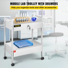 Carro VEVOR Carro de laboratorio dental Carro de servicio rodante móvil de acero 2 niveles