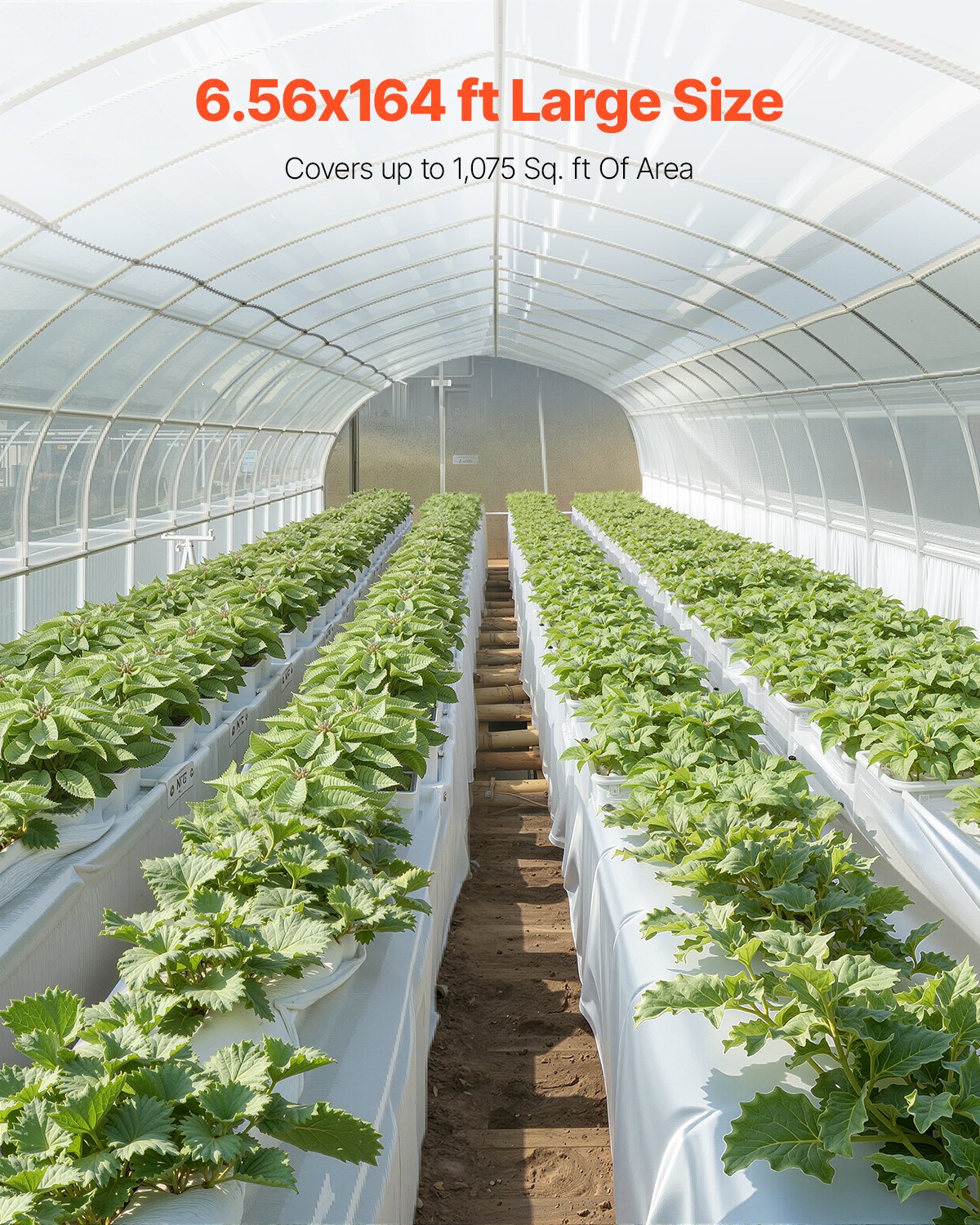 VEVOR Rollo de Láminas de Plástico Espesor de 0,2 mm 2 x 50 m Barrera de Vapor para Espacios de Acceso Lámina de Polietileno Resistente para Jardín Suministros de Plástico Agrícola, Gris