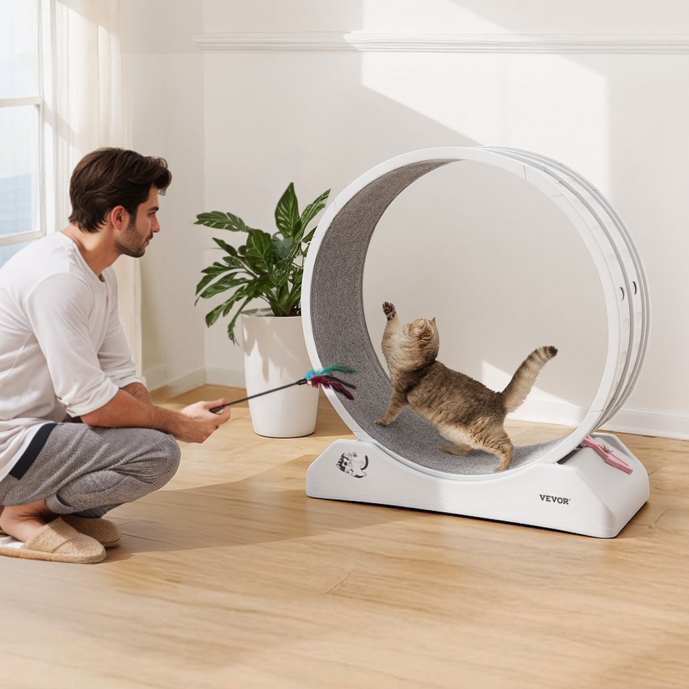 VEVOR Rueda de Ejercicio para Gatos de 800 x 340 x 850 mm, Rueda Grande para Correr con Freno Seguro y Pista Alfombrada, Cinta de Correr Silenciosa para Mascotas para Pérdida de Peso y Salud, Blanco