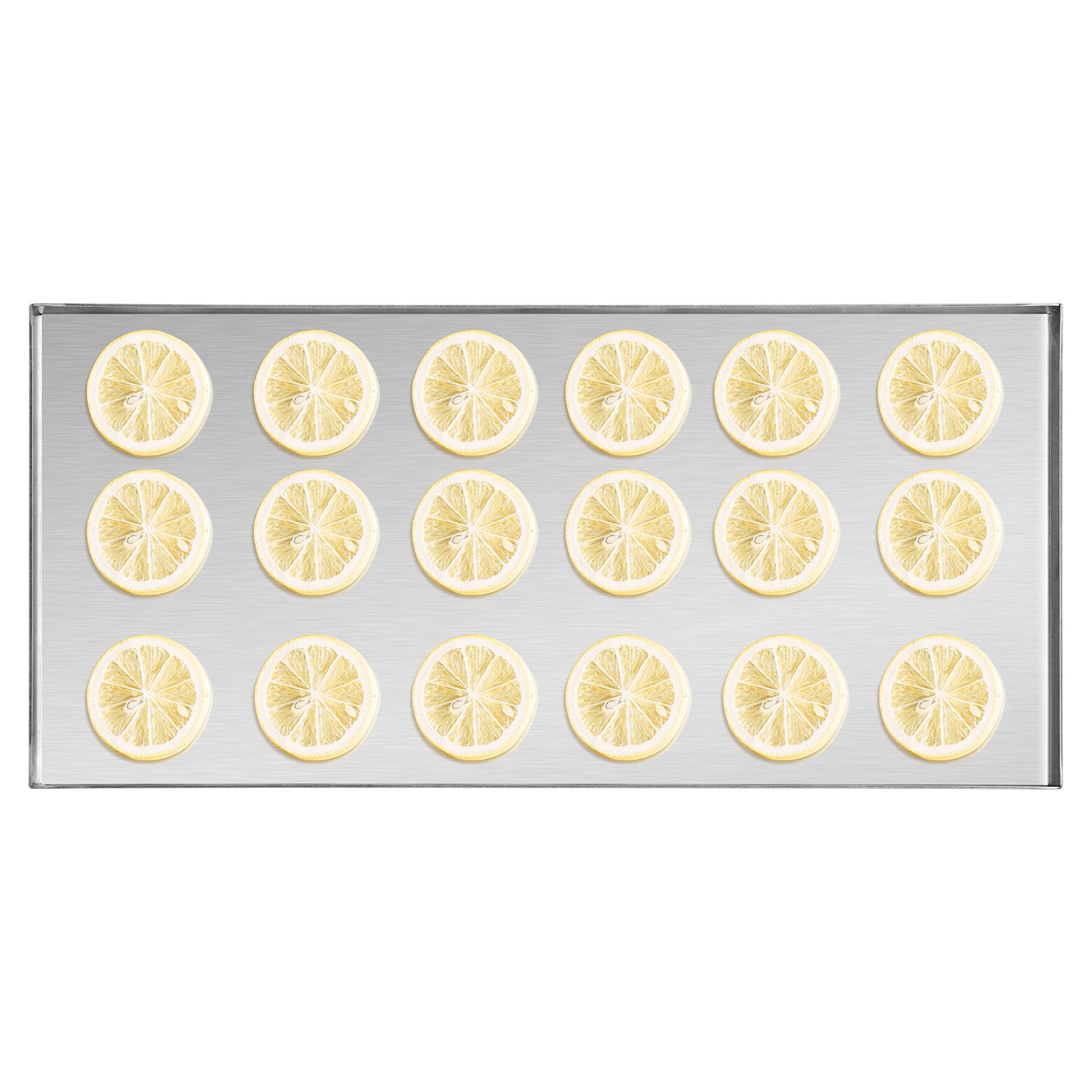 VEVOR Secadora por Congelación al Vacío Máquina de Secado por Congelación 4-6 kg Bandejas de 4 Capas Bomba de Vacío Temporizador Ajustable y Control de Temperatura para Frutas, Verduras, Negro