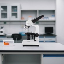 VEVOR Microscopio Compuesto con Aumento de 40-5000X Kit de Microscopio Binocular Cuerpo de Aleación de Aluminio 2 Juegos de Oculares, Luz LED, Soporte para Teléfono, para Estudiantes, Laboratorio