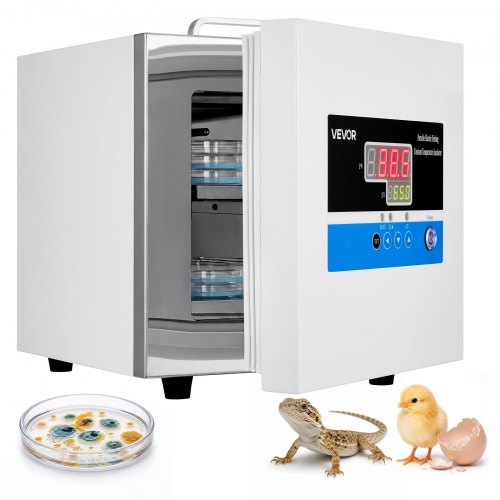 VEVOR Incubadora de Laboratorio 6 Litros Incubadora Microbiológica Portátil, para Placas de Petri, Huevos, Control de Temperatura +5℃-65℃, Pantalla Digital, para Estudios, Investigaciones, Educación