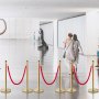 VEVOR 6-piece crowd control system, 96 cm total height, barrier, stanchion, guidepost, stanchion with 1.5 m rope length for weddings, hotels, exhibitions, gold stanchion