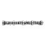 VEVOR LS Truck Cam Kit, 5-Piece Set, Includes Pushrods Springs & Seals, Compatible with 1999-2013 GM Gen3/4 Norris Trucks, Fits 4.8L, 5.3L, 6.0L ,6.2L Engines, OE 12625437 SP011-16