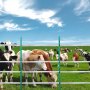VEVOR Electric Fence Tape, 1640 feet (500 m) Polytape Fence Hot Wire, 3/4 inch width, 6 stainless steel strands for reliable conductivity, UV and rust resistance, portable polywire for horses and cattle