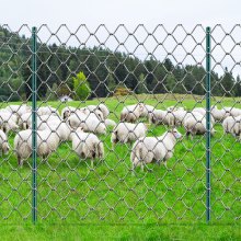 VEVOR Postes Metálicos para Valla 10 Piezas Postes de Cerca 152,4 cm, Verde