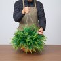 VEVOR Helechos Artificiales Paquete de 2, Helechos de Boston Artificiales Colgantes Longitud de 584,2 mm, Hojas de Seda y LDPE con Maceta para Interior y Exterior Decoración Jardín Balcón Hogar Porche