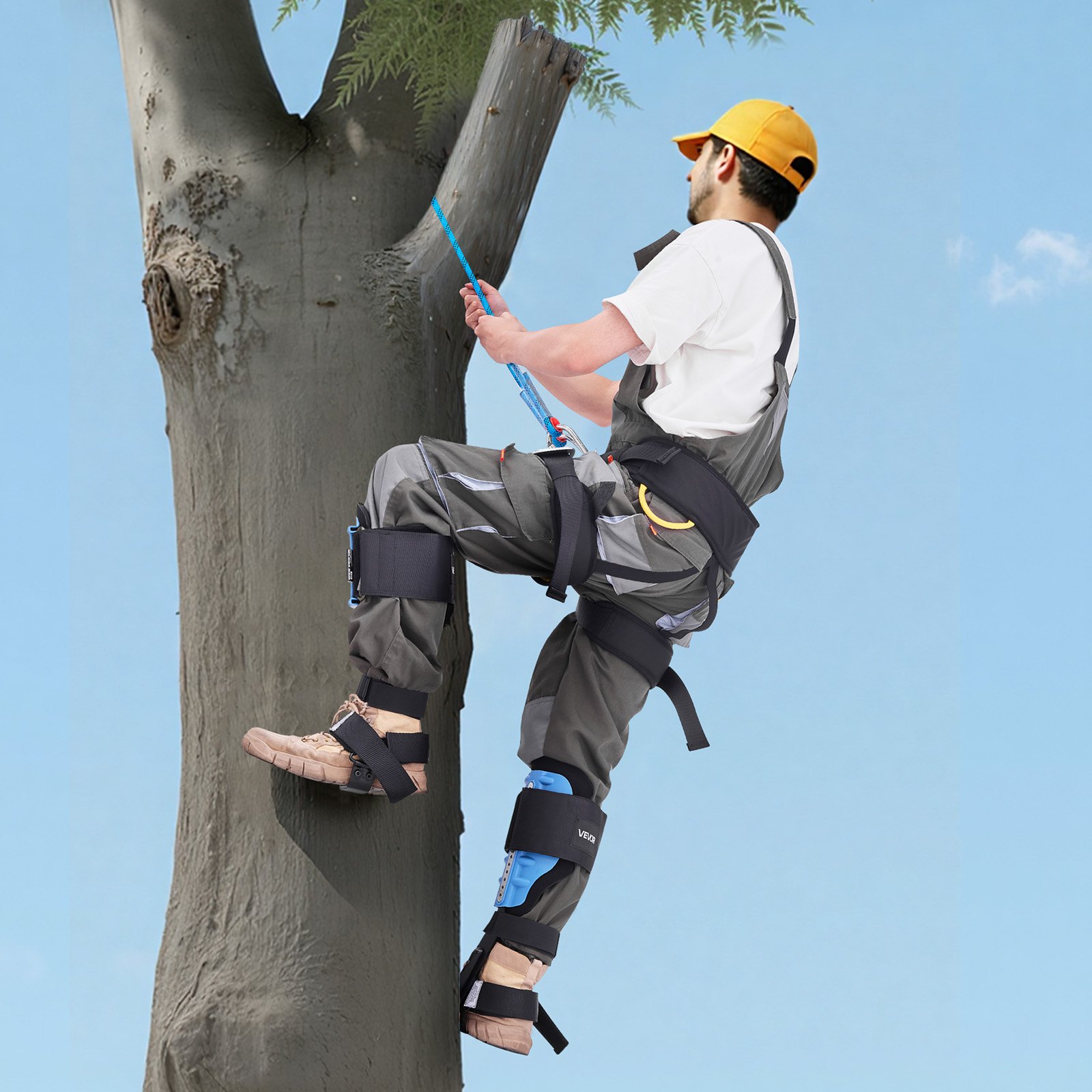 VEVOR Espuelas para Trepar Árboles, Escalada Ajustable en Altura, con Correas y Almohadilla Acolchada, Carga de 159 kg, Acero de Alta Resistencia, para Recolección de Fruta y Caza, Azul Cielo