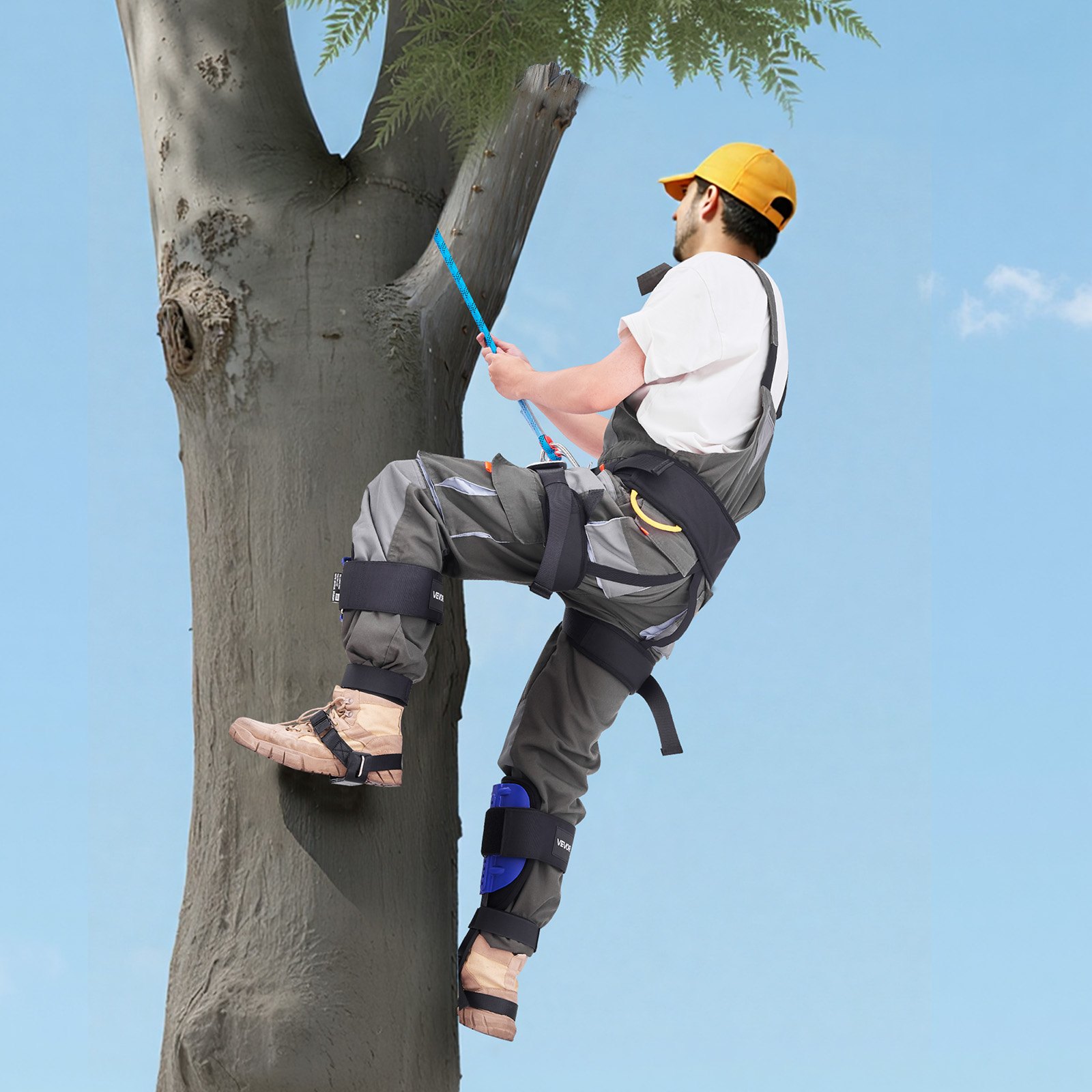 VEVOR Juego de Espuelas para Trepar Árboles, Escalada Ajustable en Altura, con Correas y Arnés, Carga de 159 kg, Espuelas de Acero de Alta Resistencia, para Recolección de Fruta y Caza, Azul
