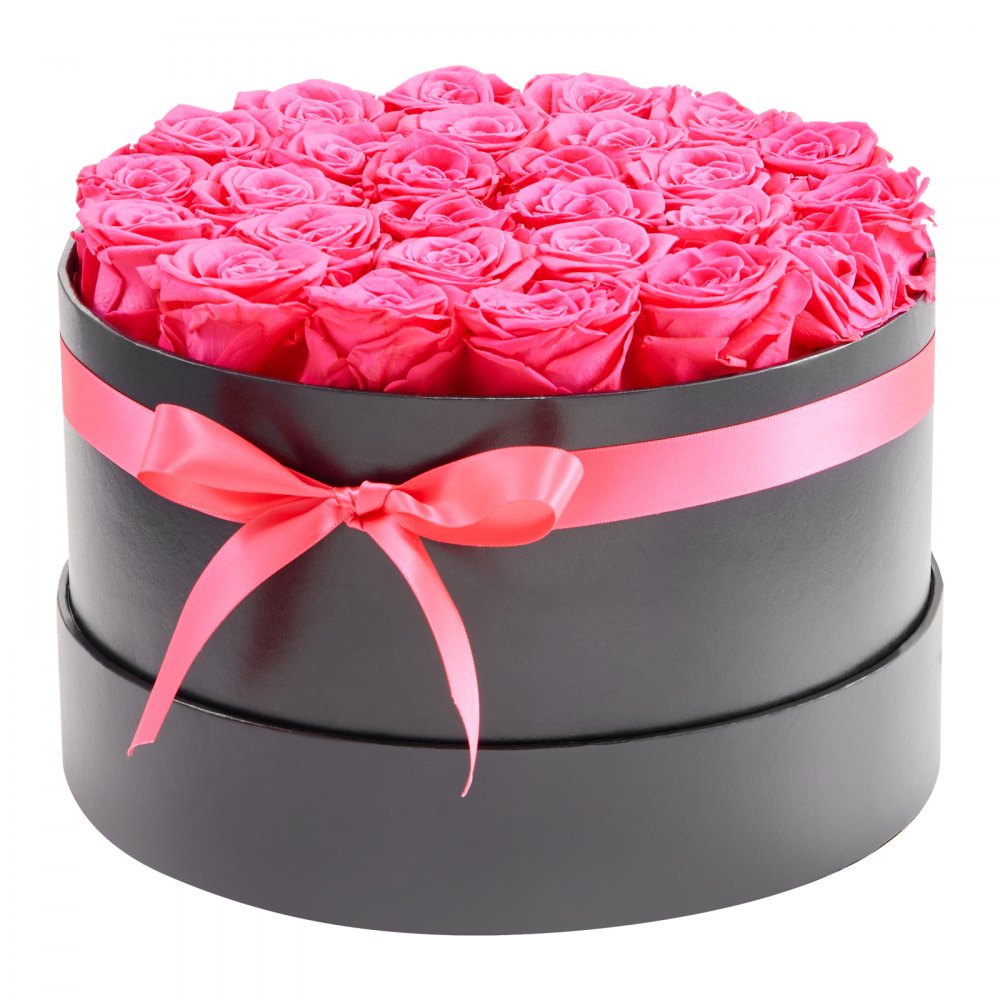 VEVOR 27 Rosas Eternas en Caja Redonda, Ramo de Flores Preservadas, Caja de Regalo de Flores para Esposa, Madre, Pareja, Boda, Día de la Madre, San Valentín, Navidad, Rosa Roja, 227 x 227 x 140 mm